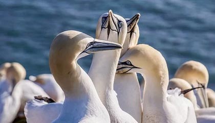 开云登录入口-西媒：特朗普观赛，美网男单决赛推迟